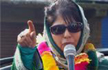 PDP ahead in Kashmir, BJP gives chase